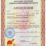 license Лицензия